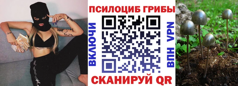 Галлюциногенные грибы Psilocybine cubensis Коммунар