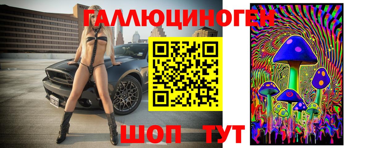 Коммунар  Галлюциногенные грибы Cubensis  Вход с VPN 