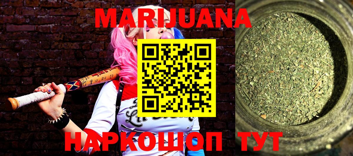 Бошки Шишки семена Коммунар
